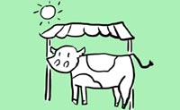 illustration cow under rain shelter
