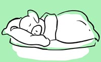 Illustration of pig sleeping under a blanket